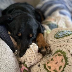 Meet your Posher, Alex